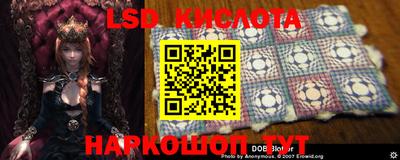 СК Краснодар