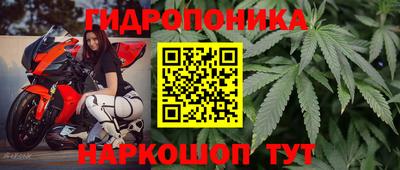 СК Краснодар