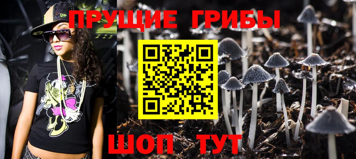 Киселёвск  Псилоцибиновые грибы мухоморы  Вход с VPN 