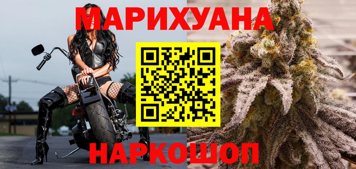 Конопля планчик Киселёвск